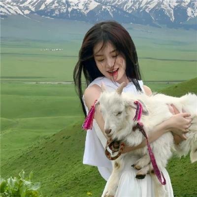 蝙蝠侠：势不两立